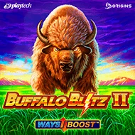 Buffalo Blitz II